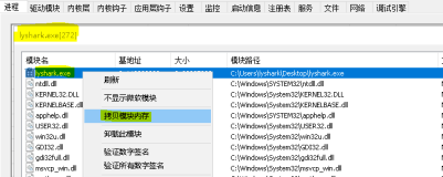 4.5 Windows驱动开发：内核中实现进程数据转储