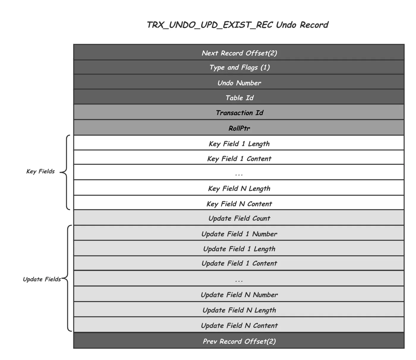 update_undo_record