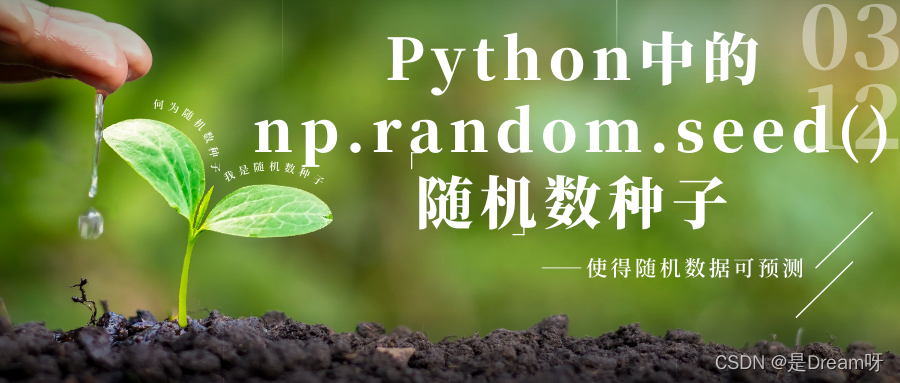 Python中的np.random.seed()随机数种子：使得随机数据可预测