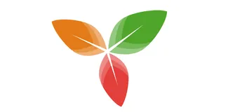  Trilium Notes：构建个人知识库的开源神器