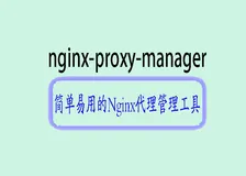 简单易用的Nginx代理管理工具：体验便捷配置、高效管理