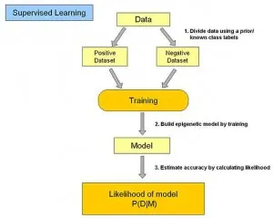 supervised learning