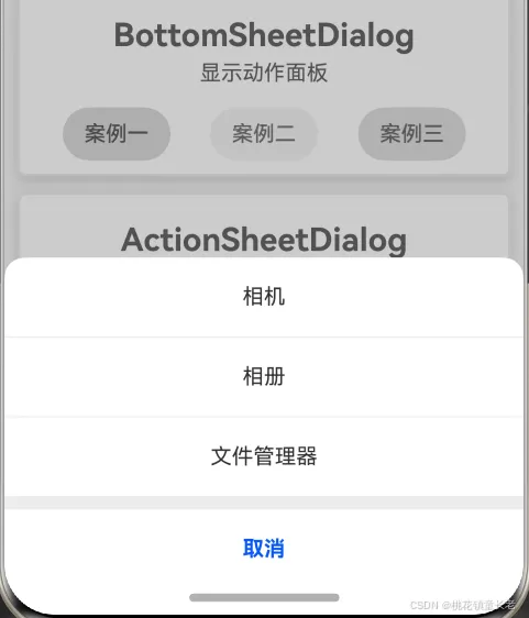 BottomSheetDialog