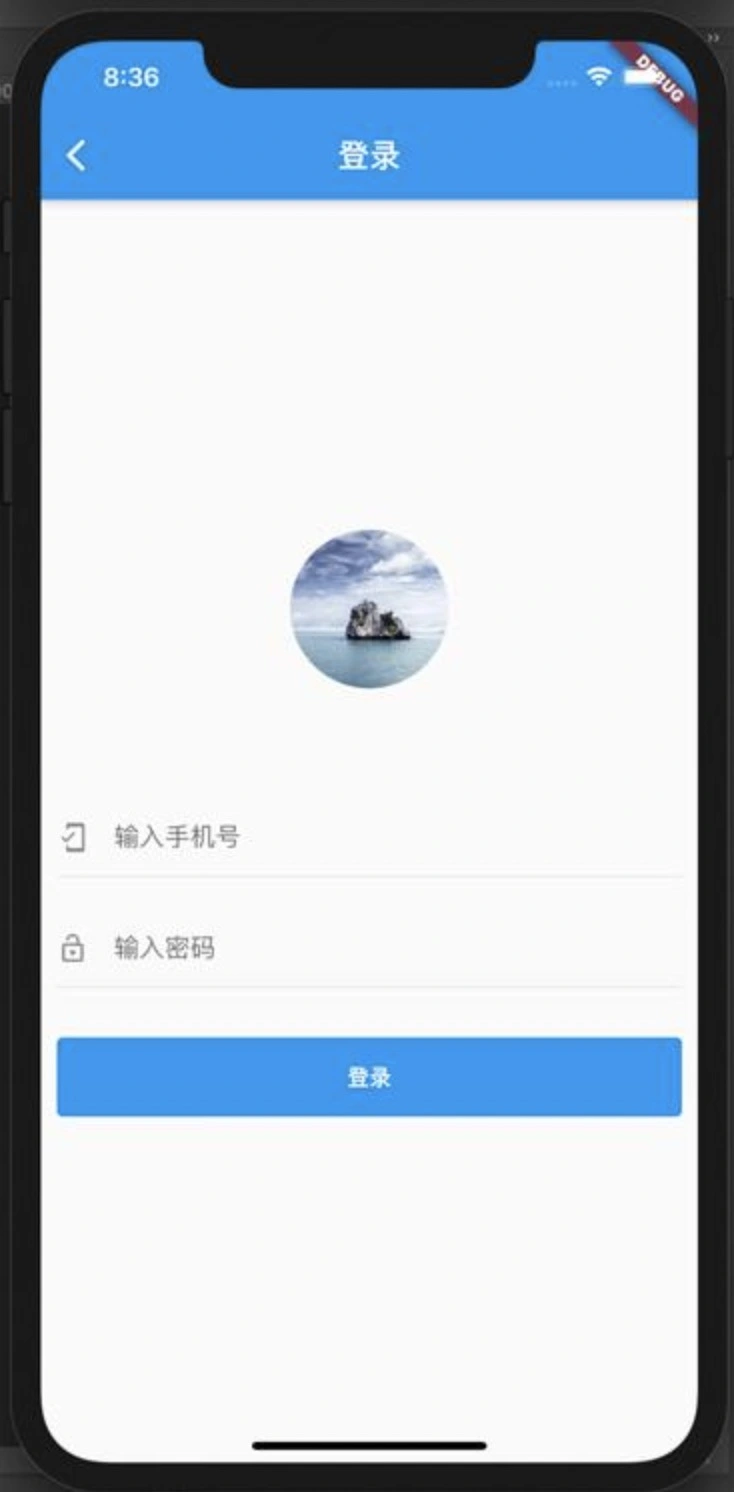 Flutter 开发一个常用的登录界面