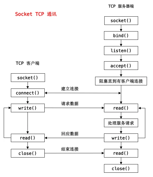 Socket1