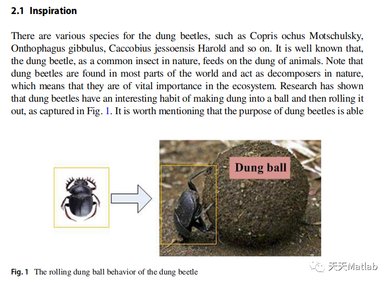 蜣螂优化算法Dung beetle optimizer附matlab代码