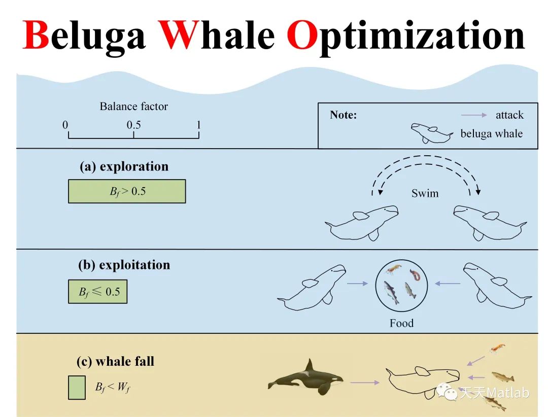 【白鲸优化算法】基于适应度距离平衡白鲸优化算法（FDBBWO）求解单目标优化问题附matlab代码