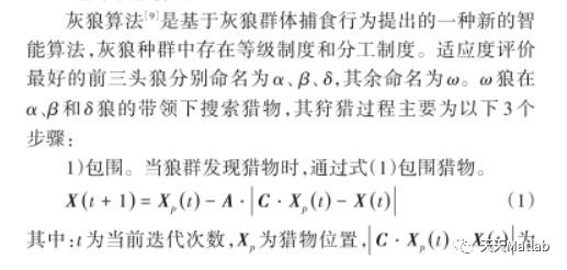 【智能优化算法】基于自适应灰狼优化算法求解单目标优化问题附matlab代码