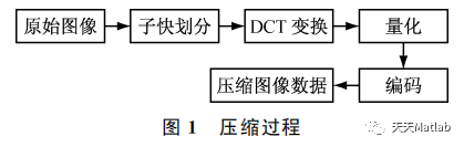 【图像压缩】基于余弦变换及霍夫曼编码实现jpeg压缩和解压附matlab代码