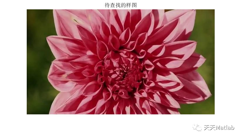 【图像检索】基于HSV的图像检索附matlab代码