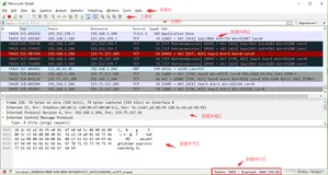 Wireshark经典实践和面试13点总结