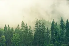 探索网络世界的核心：TCPIP协议四层模型解析