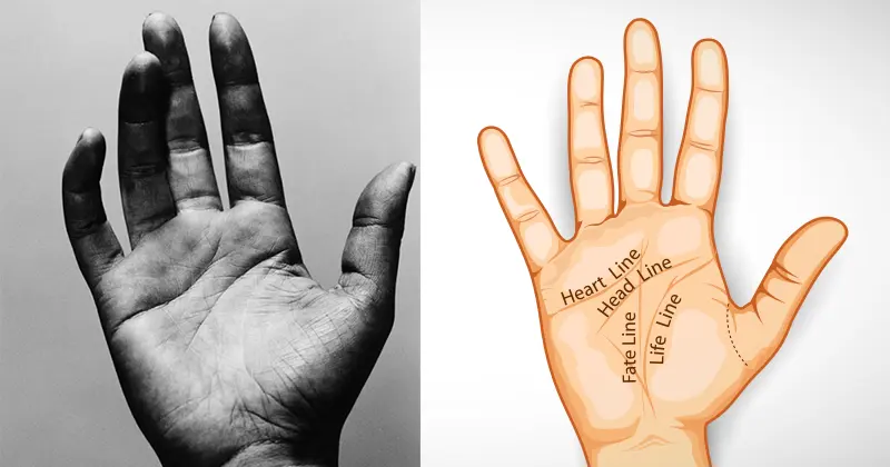 python基于opencv工具掌纹主线提取