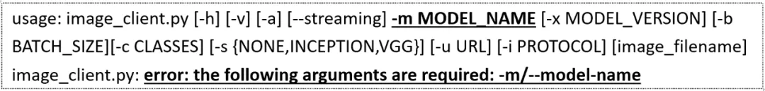 NVIDIA Triton系列07-image_client 用户端参数