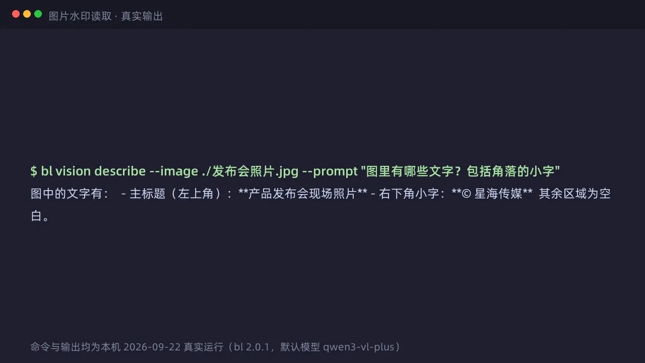 图片水印读取的真实终端输出