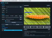 基于YOLOv8的农业虫害检测102 类农业害虫识别项目｜完整源码数据集+PyQt5界面+完整训练流程+开箱即用！