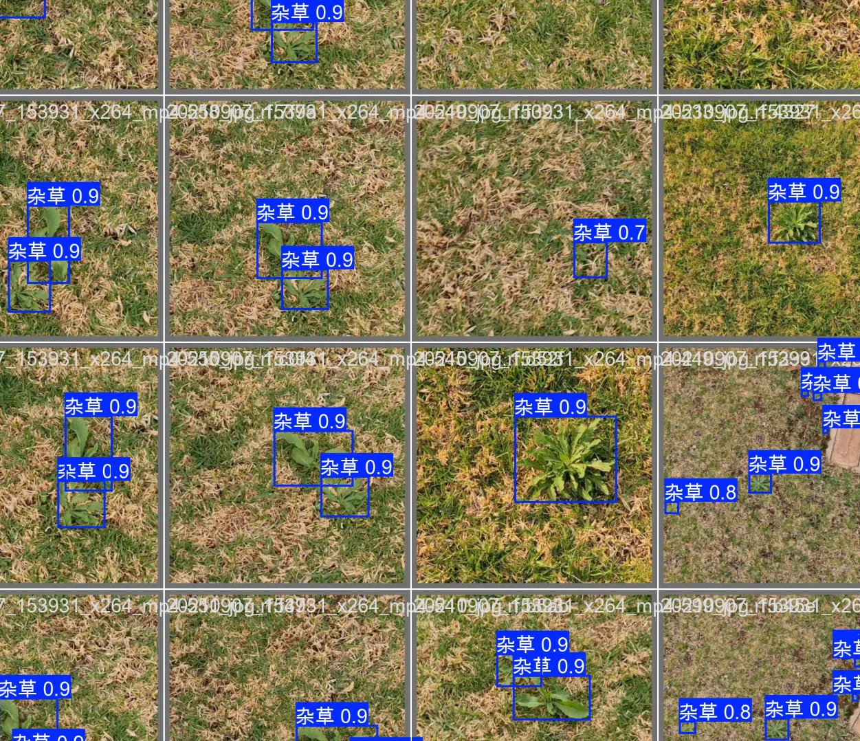 image-20250715205114684