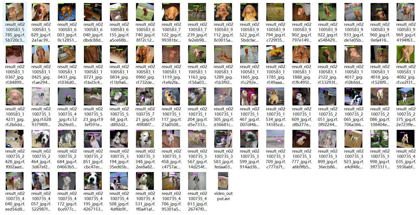 image-20250724153728670