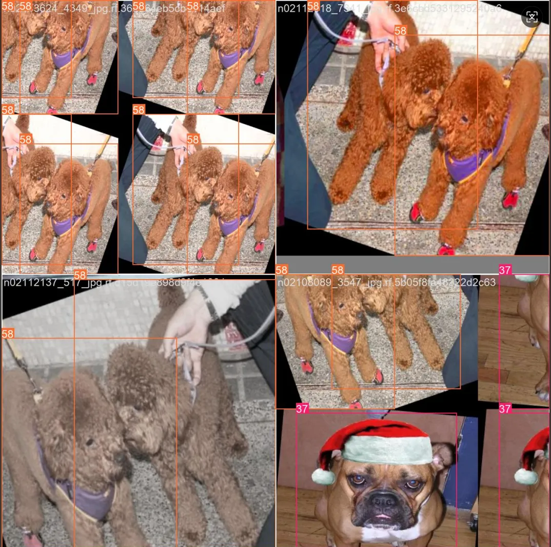 image-20250724153846199