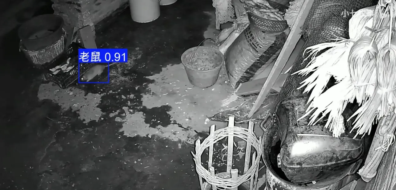 image-20250801161833853