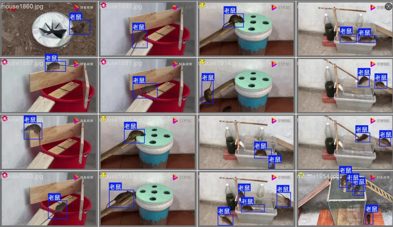 image-20250801161744884