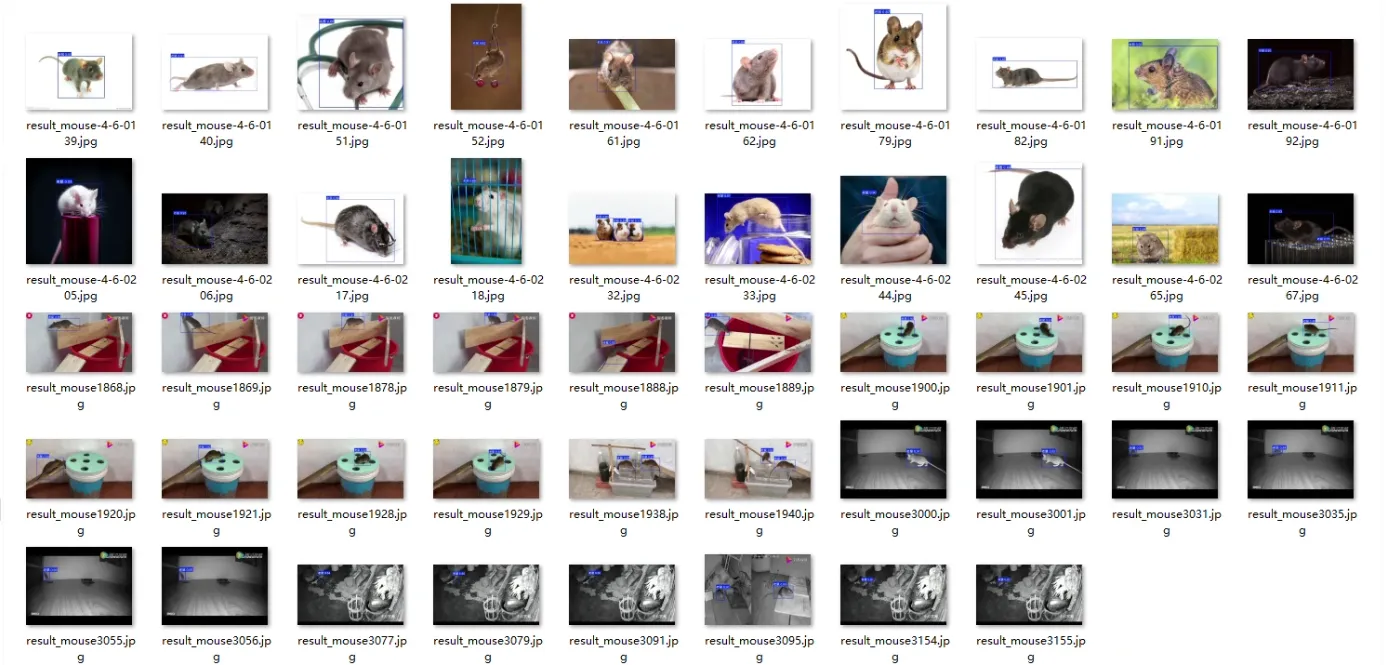 image-20250801161442050