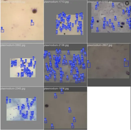 image-20250819113805006