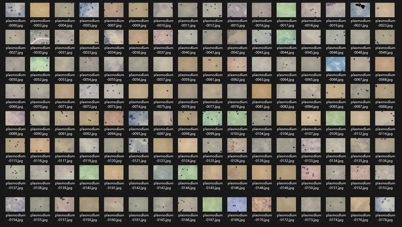 image-20250819113646178