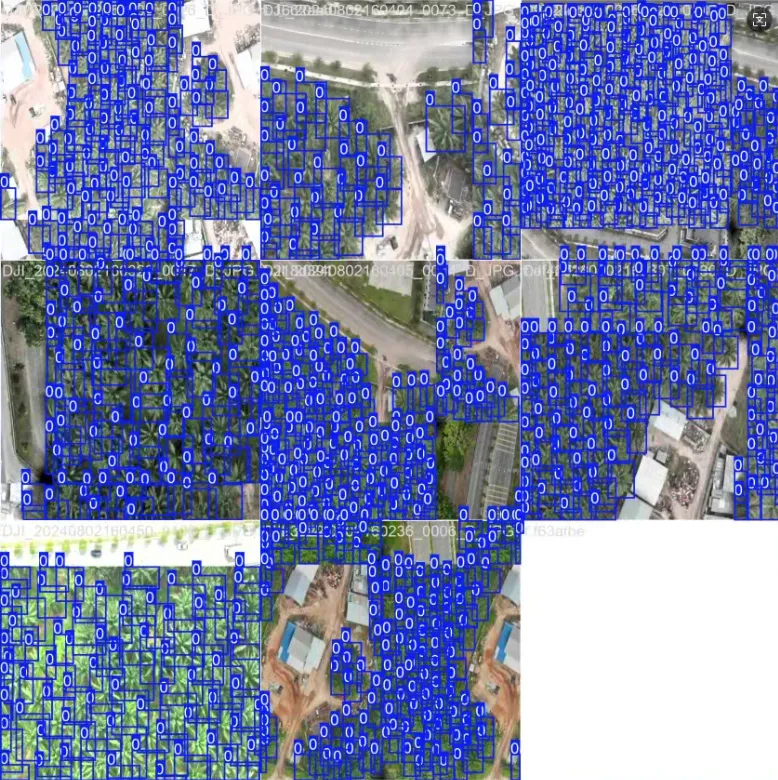 image-20250801214037923