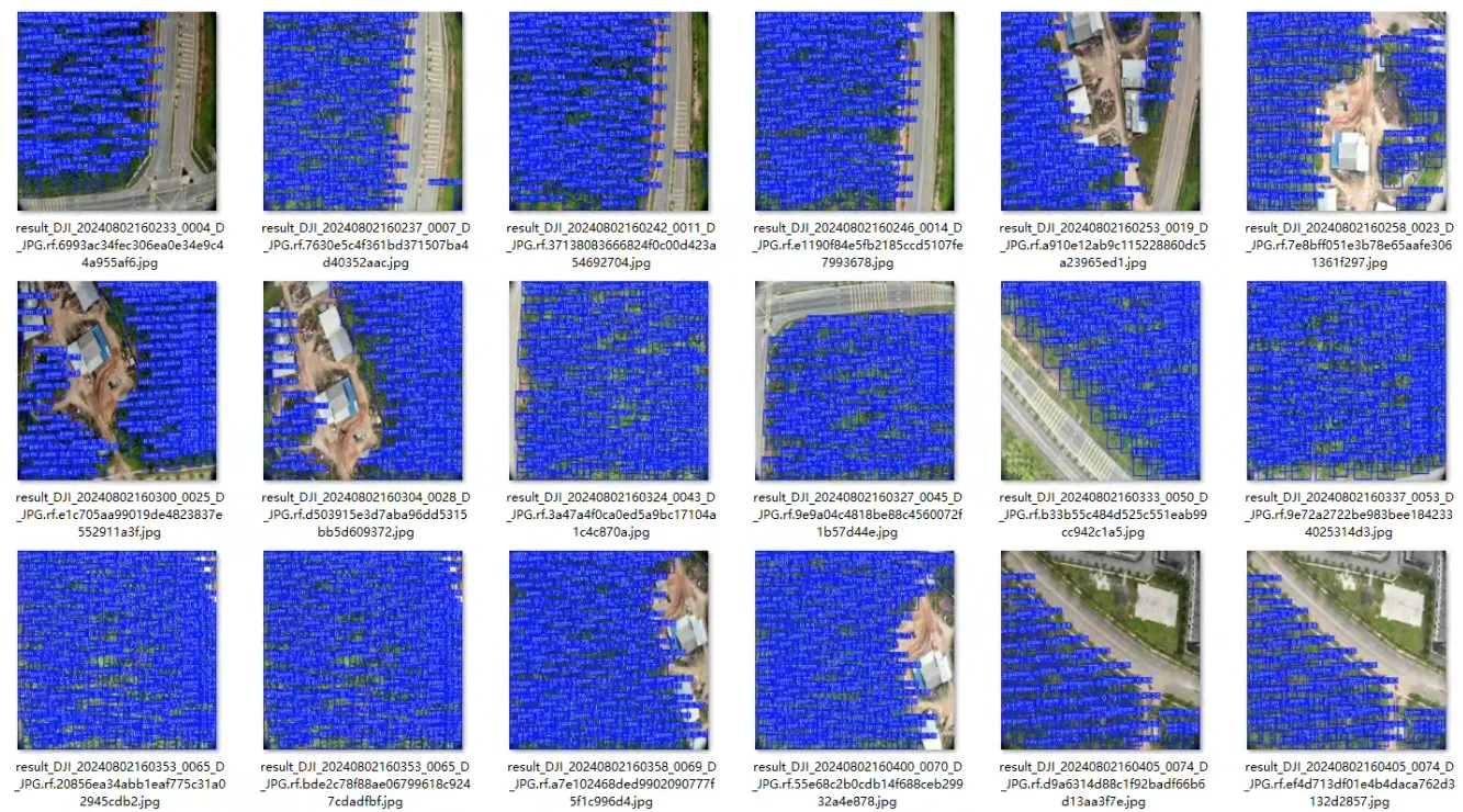 image-20250801213956788