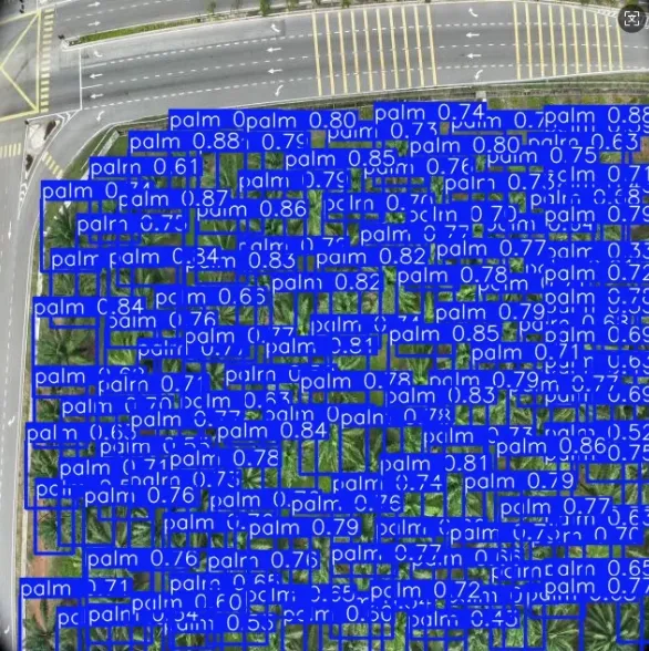 image-20250801214149615