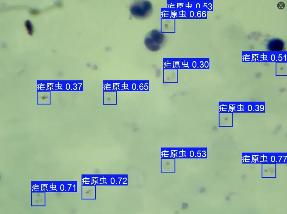image-20250803230737838