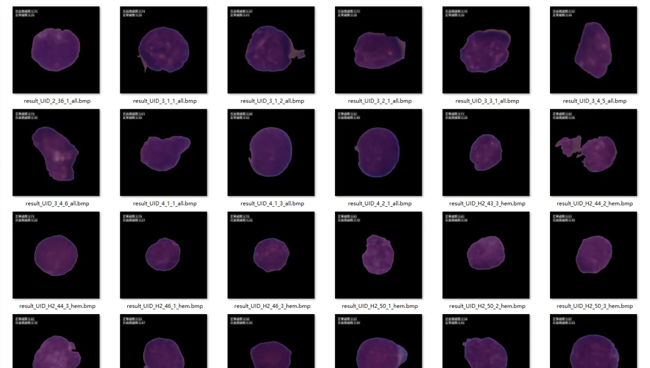 image-20250903014559047
