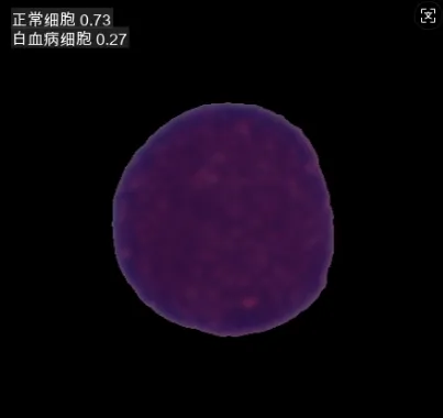 image-20250903014723004