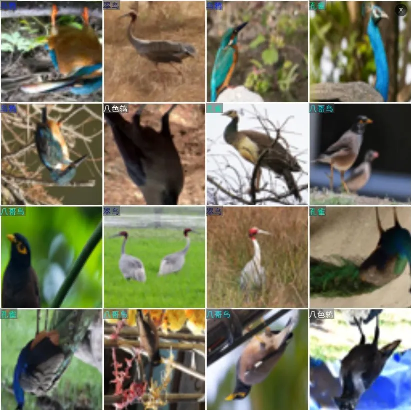 image-20250903022225386