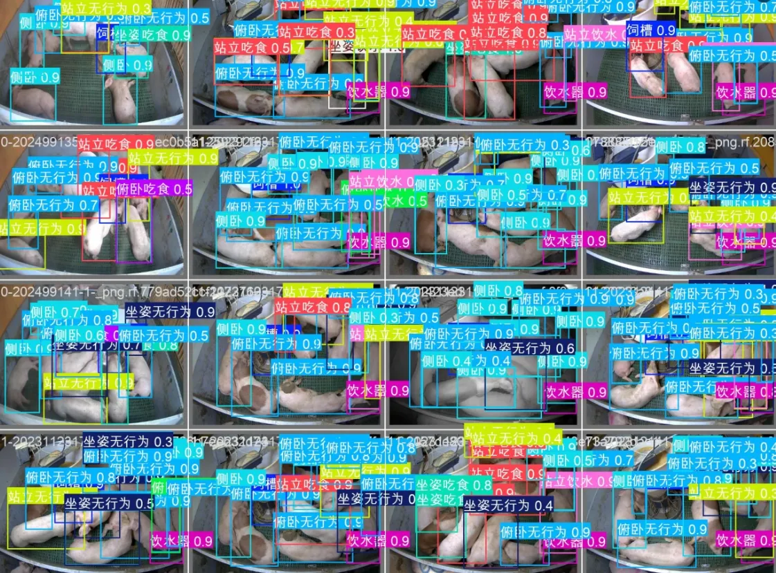 image-20250906221524540