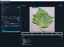 基于YOLOv8的番茄叶片病害识别系统｜完整源码数据集+PyQt5界面+完整训练流程+开箱即用！