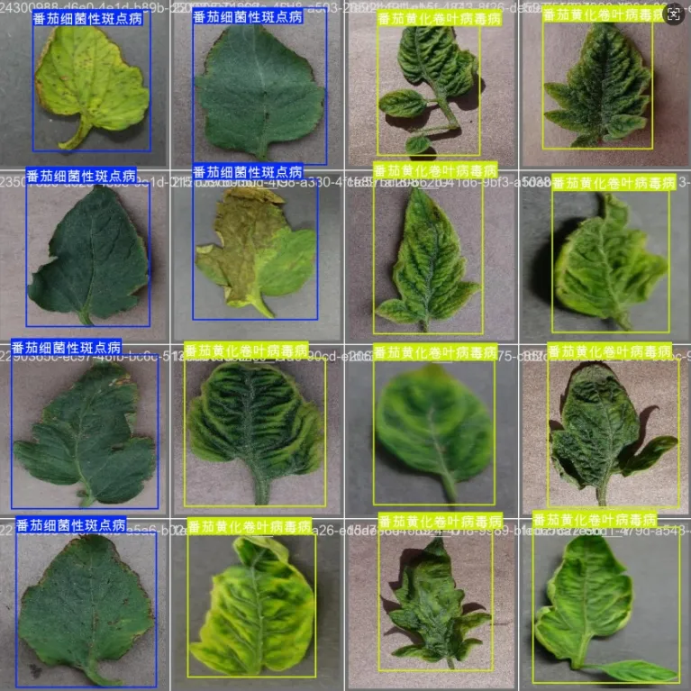 image-20251107210054183