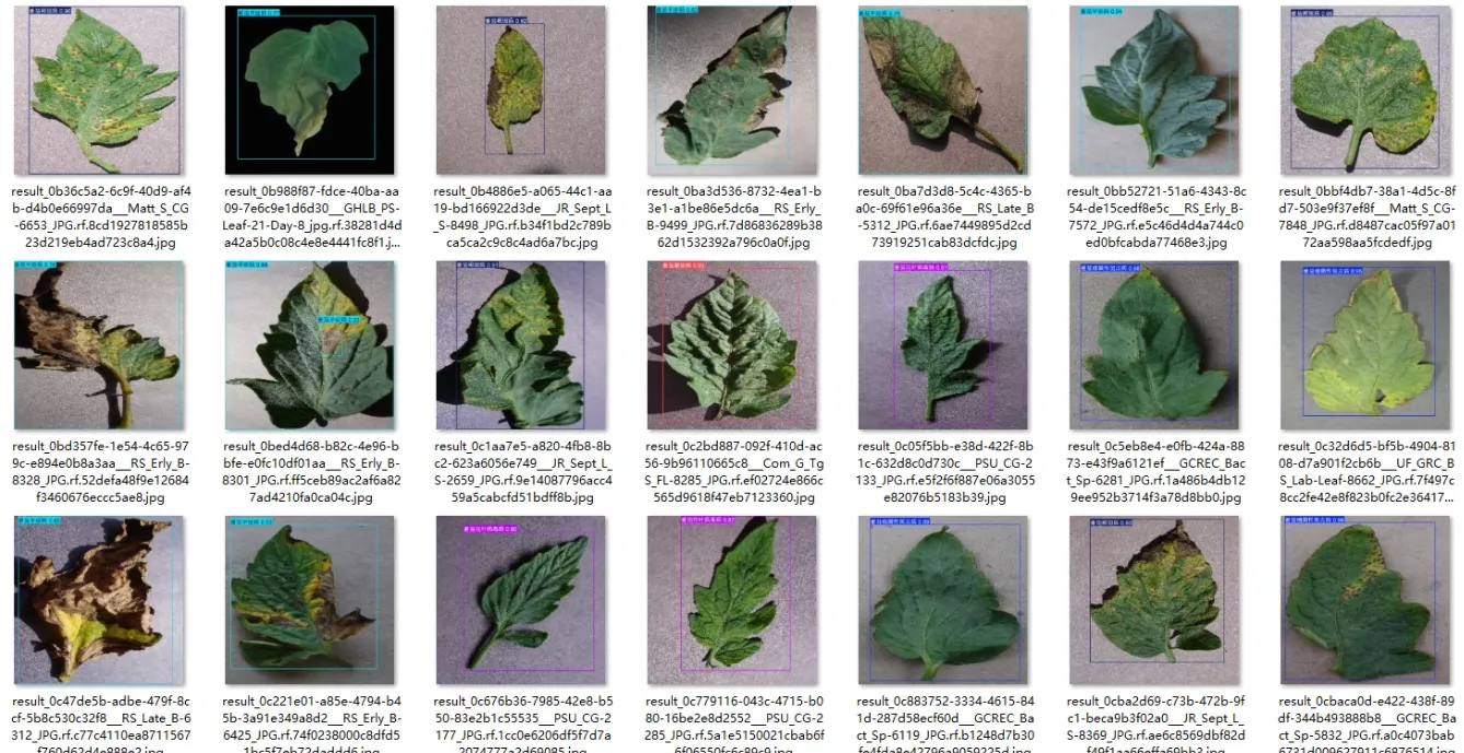 image-20251107205836257