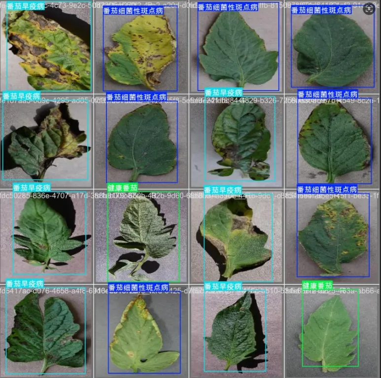 image-20251107210033613