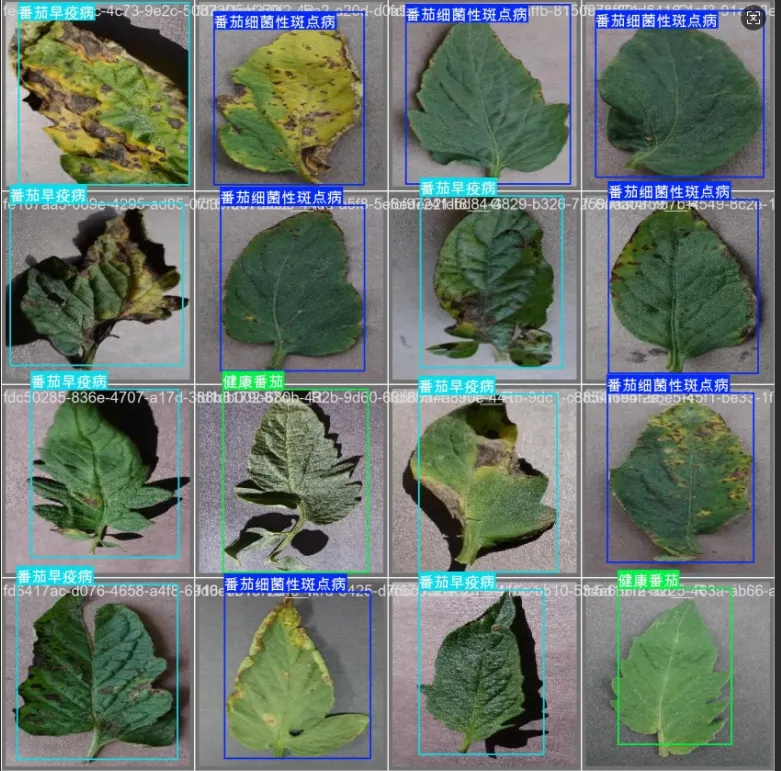 image-20251107210111005