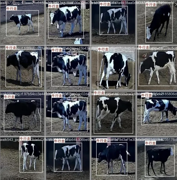 image-20251109013236807