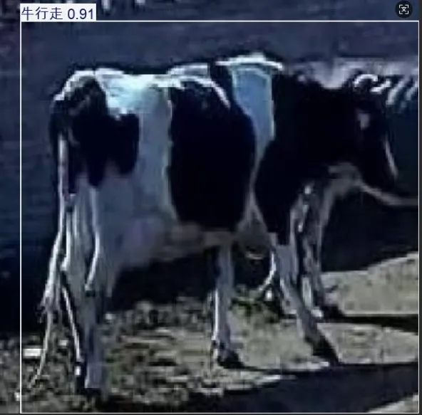 image-20251109013317729