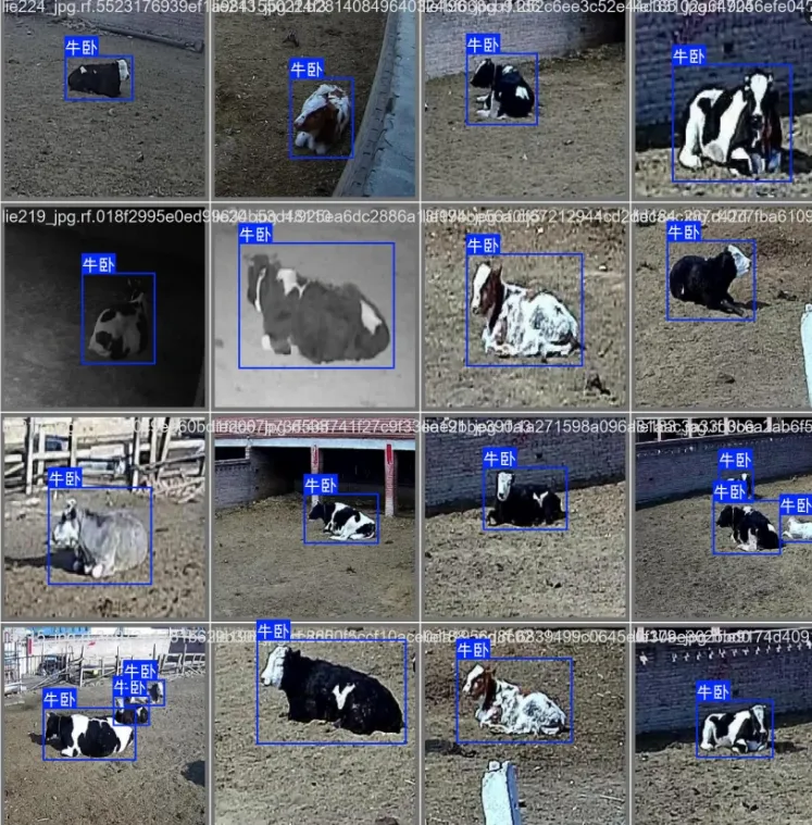 image-20251109013251951