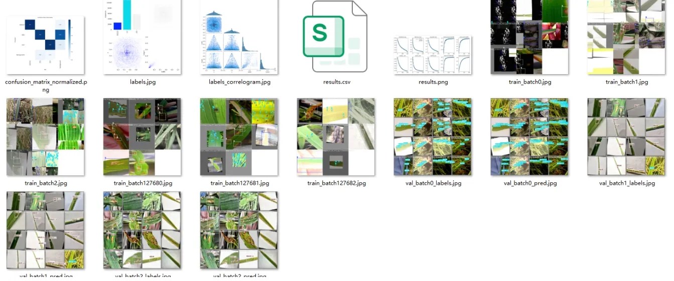 image-20251109141622539