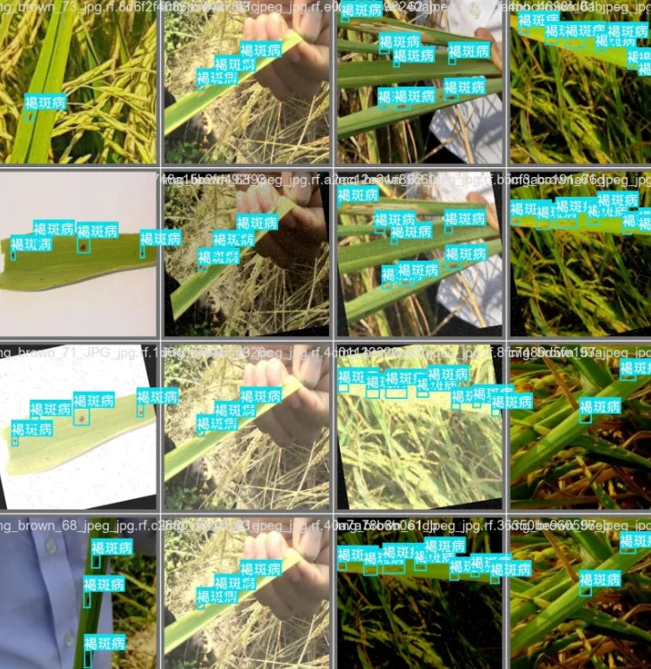 image-20251109141648698