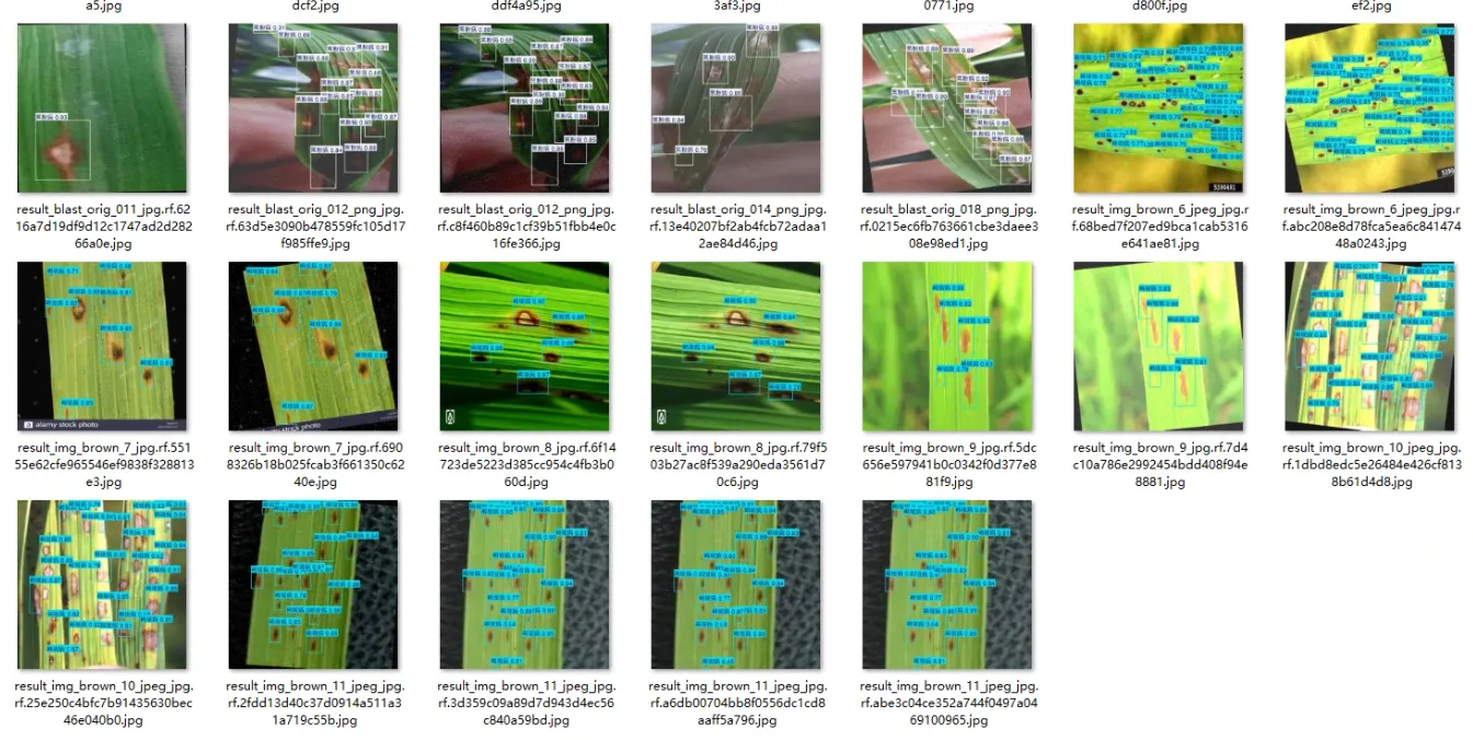 image-20251109141502324