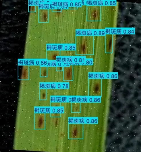 image-20251109141552945