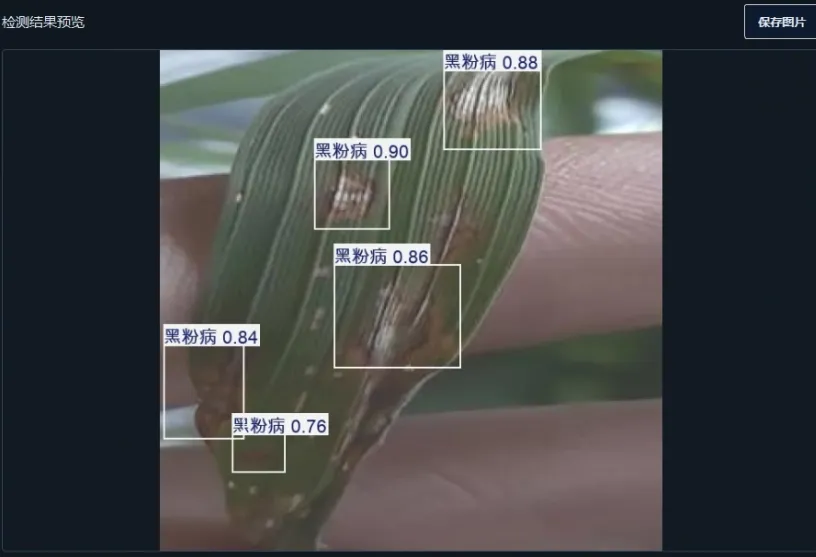 image-20251109141407236