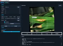 基于YOLOv8的水稻病害检测项目｜完整源码数据集+PyQt5界面+完整训练流程+开箱即用！